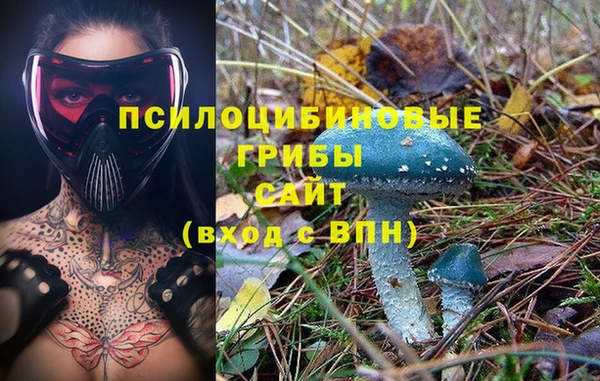 гашиш Ладушкин