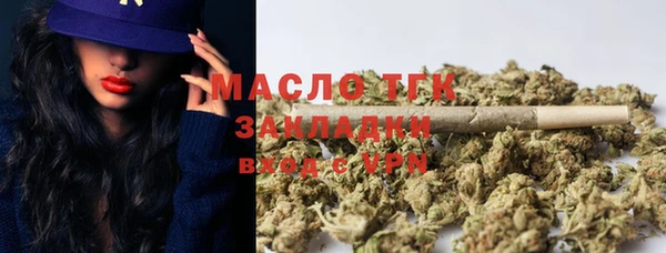 индика Семикаракорск