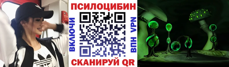 Псилоцибиновые грибы Magic Shrooms  mega зеркало  Суровикино 